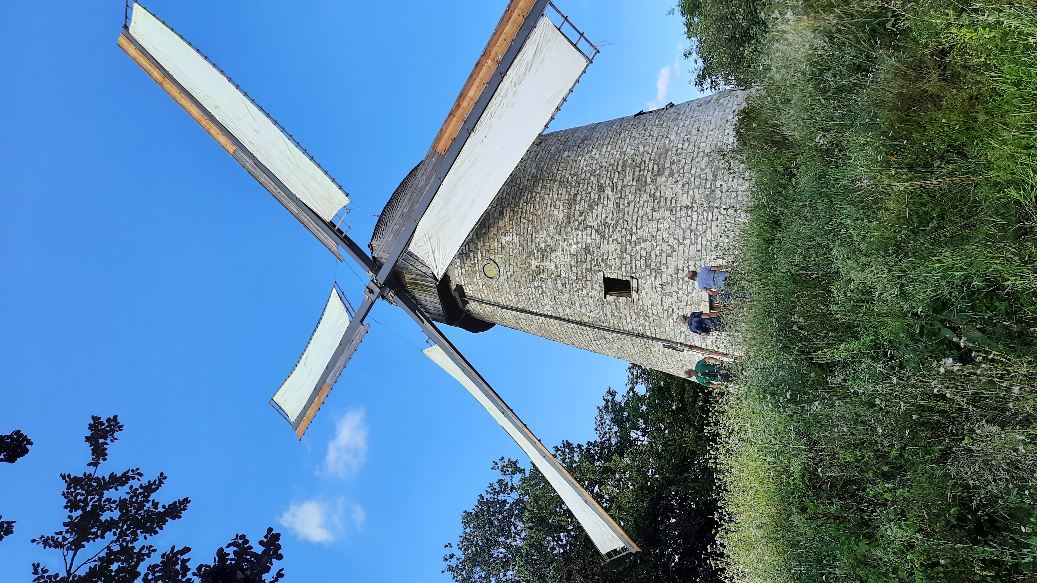 Windmühle