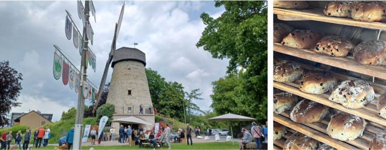 Deutscher Muehlentag 2025